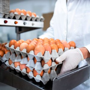 Karbel - Materiales de envasado para sector alimentación - Huevos